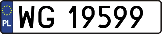 WG19599