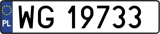 WG19733