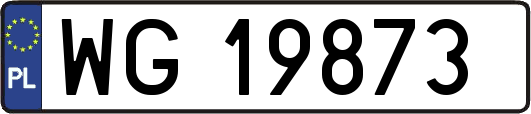 WG19873