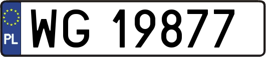 WG19877