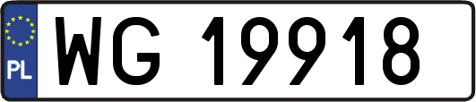WG19918