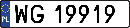 WG19919