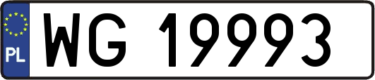 WG19993