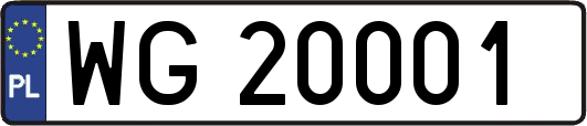 WG20001