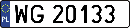 WG20133