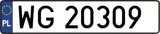 WG20309