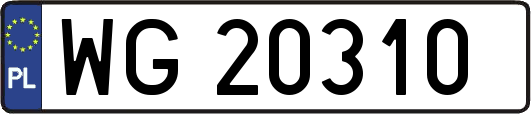 WG20310