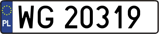 WG20319