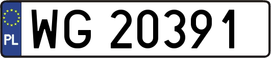 WG20391
