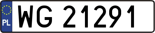 WG21291