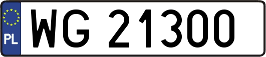 WG21300