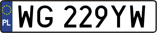 WG229YW
