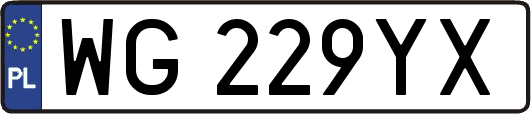 WG229YX