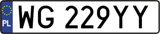 WG229YY