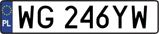 WG246YW