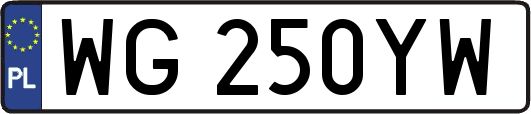 WG250YW