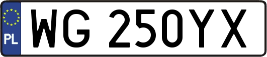 WG250YX
