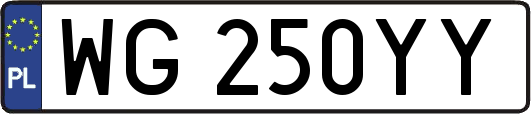 WG250YY