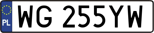 WG255YW