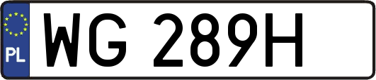 WG289H