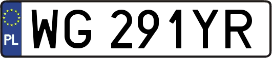 WG291YR