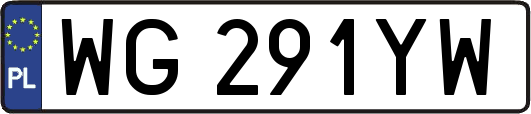 WG291YW