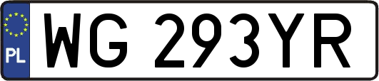 WG293YR