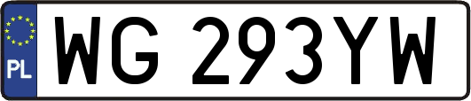 WG293YW