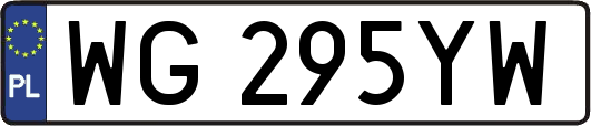 WG295YW