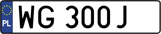 WG300J