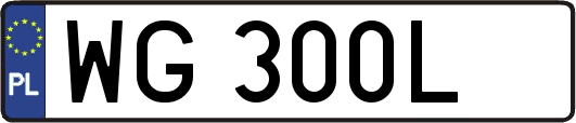WG300L