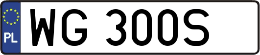 WG300S