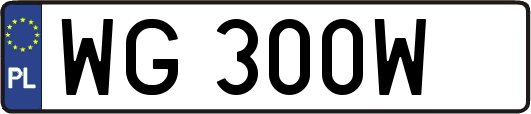 WG300W