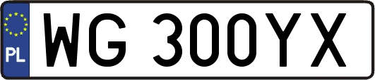 WG300YX
