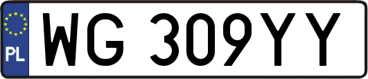 WG309YY