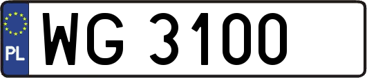 WG3100