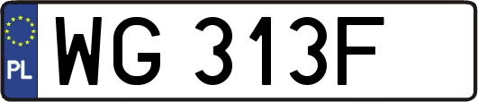 WG313F