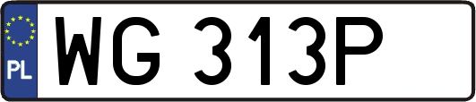 WG313P