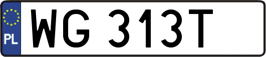 WG313T
