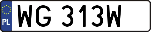 WG313W