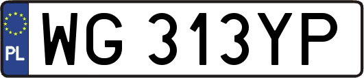 WG313YP