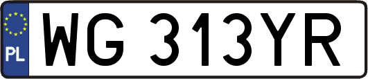 WG313YR