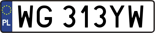 WG313YW