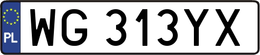 WG313YX