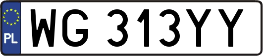 WG313YY