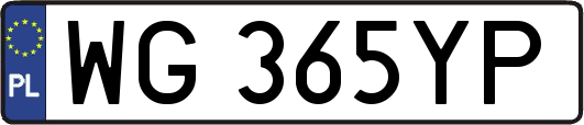 WG365YP