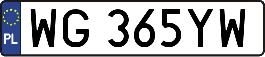 WG365YW