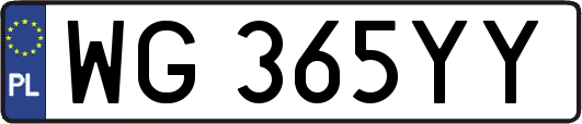 WG365YY