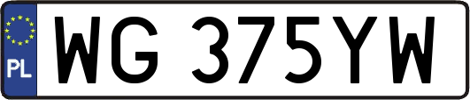 WG375YW