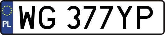 WG377YP